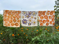 Flower Hammering Workshop, Saturday Sept 26, 10am-12:30pm
