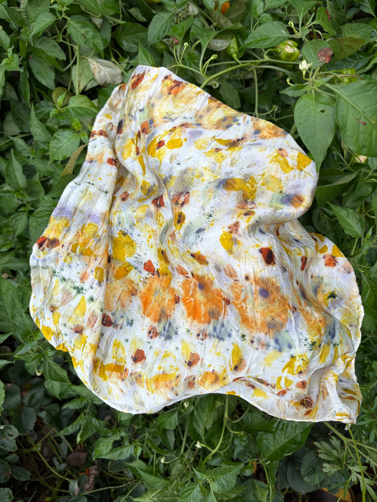 Botanical Dyeing Workshop, Sunday Sept 27, 10am-12:30pm