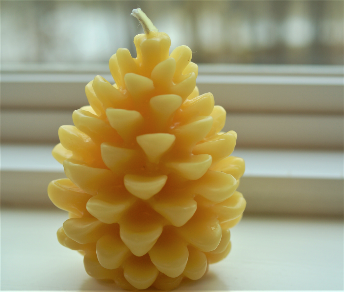 Beeswax Candles